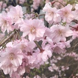 一二一