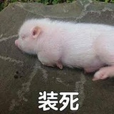 零食使我快乐