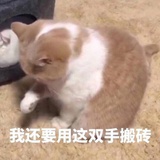 打工人1.0