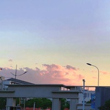 江露小姐