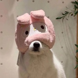 茶水間