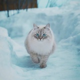 漂浮的小宇宙