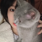 芋芋