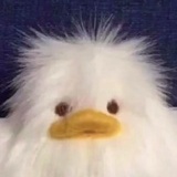 冷风吹
