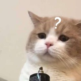 怪人阿德利