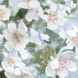 Jasmine