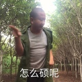 残忍的白菜包子