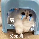 冷清