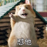 普通青年