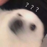 我不知道叫什么
