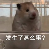 cccqh