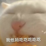 好想发疯嗷嗷嗷