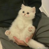 豆友210718127