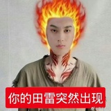 田雷（单身可麦