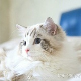 浪卡