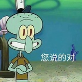 您说的对