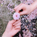 爱莫爱兮