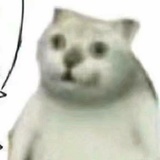 0.0