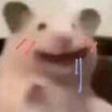 垃圾人生拥有者