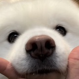 putme