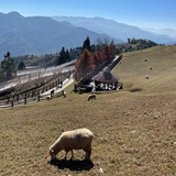 zoechen