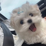 三号选手😅