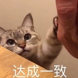 兔家面包车🇨🇳