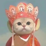 时柒