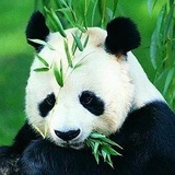 以古通今