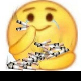 迦楼罗