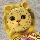 找媳妇的金钱豹
