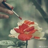 梨子