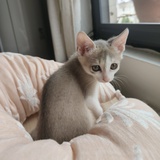 求剧透