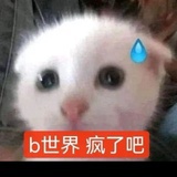 火鸡味锅巴