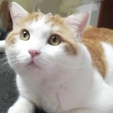 梦圆了