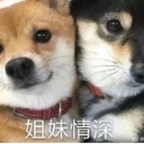 已注