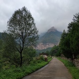 小小杜88996