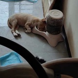 巧克力&诱惑