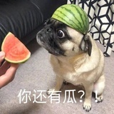 辛未小李