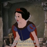 弓匕