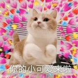 lala芽
