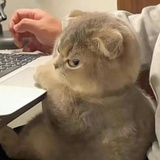 饮