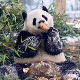 西直门三太子