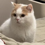 TTui