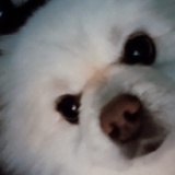 南漂亮