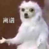 电竞少女郭德纲