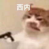 抹茶星冰乐