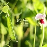 如梦