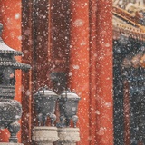 雾非雾