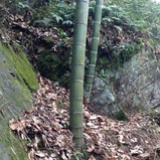 wenbing